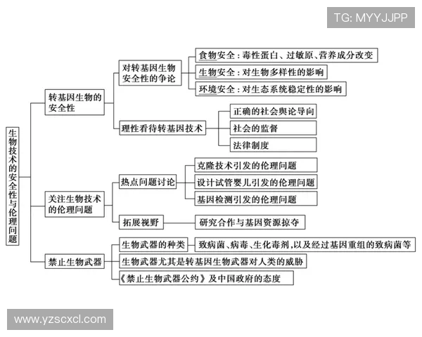 乒乓球运动的魅力与发展历程:从起源到现代化技术的突破与创新